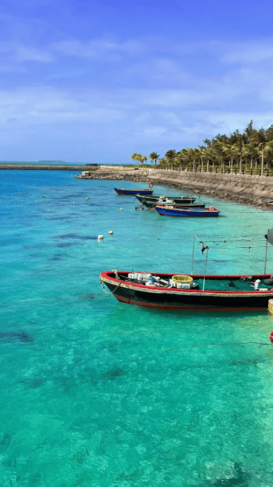 ：祥龙岛号邮轮攻略 + 价格明细 + 预订要点尊龙凯时APP西沙群岛 2025 旅游出行指南(图2)